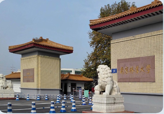 1713517595406423.jpg 南京林業大學.jpg